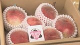 一日限定の販売会 山梨県産最高級のモモを静岡市の百貨店で販売=静岡市葵区|TBS NEWS DIG