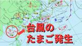 【台風のたまご】熱帯低気圧が発生「台風6号と同じような進路」の予想も【雨・風シミュレーション4日(木)~8日(月)】台風情報に今後注意 気象庁天気図詳しく|TBS NEWS DIG