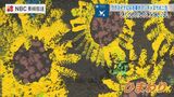 ウクライナに心を寄せて 長崎の子どもたちが平和の壁画「キッズゲルニカ」を描く | 長崎のニュース | 天気 | NBC長崎放送