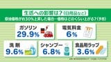 原油高騰の影響はガソリン以外にも…トウモロコシ、ニンジン、キャベツは値上がり率「高」|TBS NEWS DIG