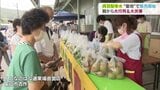 食感サクサク!甘みが違うね 呉羽梨の聖地で主力の「幸水」販売開始 朝から長い行列|TBS NEWS DIG
