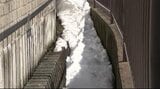 溝や用水路に雪を捨てないで…周囲に水があふれる危険性…専門家に聞く「知っているようで知らない雪かきの注意点」雪かきで2月3月に水路への転落事故が増加、雪で水路が見えず足を踏み外すケースが　　|　SBC NEWS | 長野のニュース | SBC信越放送