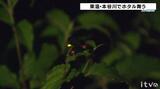 1000匹以上舞う日も…“初夏の風物詩” 川のほとりにホタルの幻想的な光 愛媛・東温 | 愛媛のニュース - Nスタえひめ|あいテレビは6チャンネル