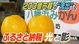 地域活性化の一方で200億円超の“税金流出”も…「ふるさと納税」の光と影 | 愛媛のニュース - Nスタえひめ|あいテレビは6チャンネル