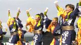 「客が笑顔になって幸せ」かごしま春祭大ハンヤ 県内外68組1200人の踊り手が躍動|TBS NEWS DIG