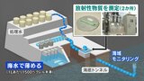 700ベクレル超で処理水放出停止 海水・魚とも28日現在「不検出」 | 福島のニュース│TUF