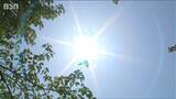 前日から12℃も気温上昇?! 1日の新潟県内は各地で25℃以上の“夏日”予想|TBS NEWS DIG