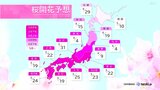 2023桜の開花はいつ?最も早いのは“高知”と“福岡”で3月19日 東京は3月22日の予想(日本気象協会発表) | 高知のニュース・天気|KUTV NEWS | KUTVテレビ高知
