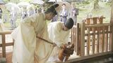 第72回「金沢百万石まつり」開幕 4年ぶり通常開催 2日の“提灯行列”は大雨で中止　|　石川県のニュース｜MRO北陸放送