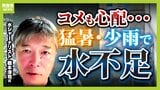 【水不足】日本は雨降って海に流れてしまう国 シャワー『1分出しっぱなし』で10リットル失う 補助金が出る節水対策もあるらしい|TBS NEWS DIG