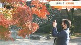 紅葉の名所「一目八景」「両子寺」「岡城跡」「九酔渓」 見ごろはいつ? 大分 | 大分のニュース|OBS NEWS|大分放送