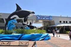 ｢オフィスからシャチ｣まで、最大8000億円の争奪戦－フジHD子会社入札| TBS CROSS DIG with Bloomberg