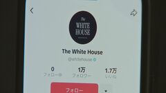 ホワイトハウスがTikTok公式アカウントを開設| TBS CROSS DIG with Bloomberg
