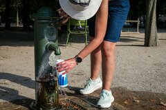 欧州熱波は観測史上最も深刻、気候変動が原因－研究者が分析| TBS CROSS DIG with Bloomberg
