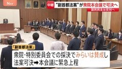 「副首都法案」まもなく衆議院で採決も…参議院では成立の見通し立たず　野党からは「あまりに拙速」の声　参議院で無所属議員の理解得られるか【記者解説| TBS CROSS DIG with Bloomberg