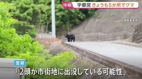 クマ目撃相次ぐ栃木・宇都宮市 9日も朝から5か所で…「2頭が市街地に出没の可能性」市内すべての市立小中学校が休校、厳戒態勢続く|TBS NEWS DIG