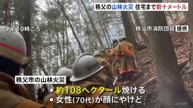 埼玉・秩父の山林火災　火は最も近い住宅まで数十メートルに迫る　約108ヘクタール焼け、消防が270人態勢で消火活動続ける|TBS NEWS DIG