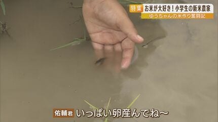 3杯の白ご飯が日課！お米が大好きな9歳