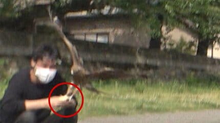 豆腐店主「わぁ！やられた！」“鳶に油揚げをさらわれる”は本当だった