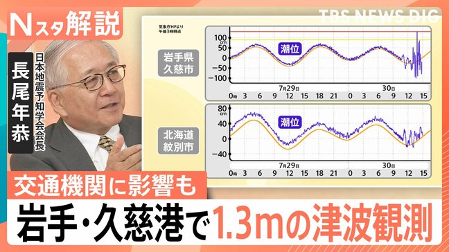 岩手・久慈港で1.3mの津波観測「防波堤を超える波も」広範囲に津波警報、交通機関にも影響が【Nスタ解説】|TBS NEWS DIG