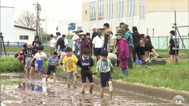 「水しゃっこい!」「泥がぬちゃぬちゃ」小学生たちが田植えに挑戦! 悪戦苦闘しながら“地域の基幹産業”を学ぶ|TBS NEWS DIG