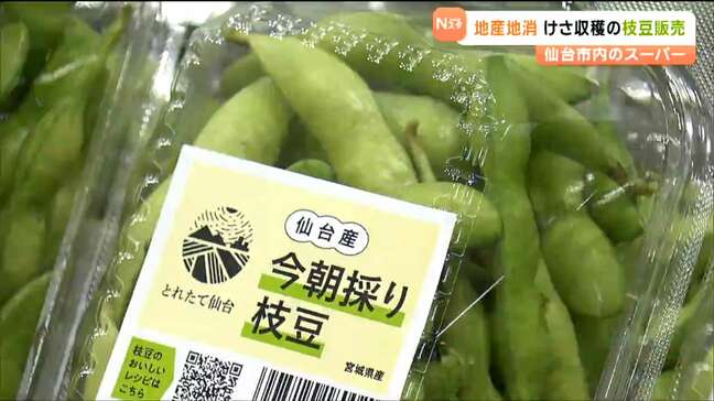 ”普通の枝豆と一線を画す”仙台産「今朝採り枝豆」ブランド化へ販売始まる|TBS NEWS DIG