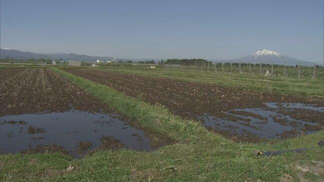 日没直前にクマの緊急銃猟　約300ｍ先に民家　箱わなを用意する時間もない緊迫の現場　田んぼで発砲し駆除　青森県内2例目　平川市|TBS NEWS DIG