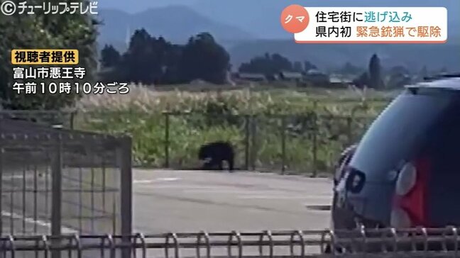 住宅地にクマ出没 緊急銃猟で成獣1頭駆除“県内初” 緊迫の2時間半 富山|TBS NEWS DIG