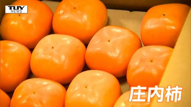 秋の味覚・庄内柿　今年は今までにないほどの大きさに（山形）|TBS NEWS DIG