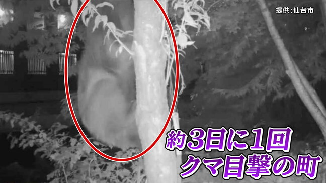 「3日に1回クマ目撃」で揺れる町 ついに夏祭りも中止に 設置のカメラに映るも発見されず…いったいどこに潜んでいるのか|TBS NEWS DIG