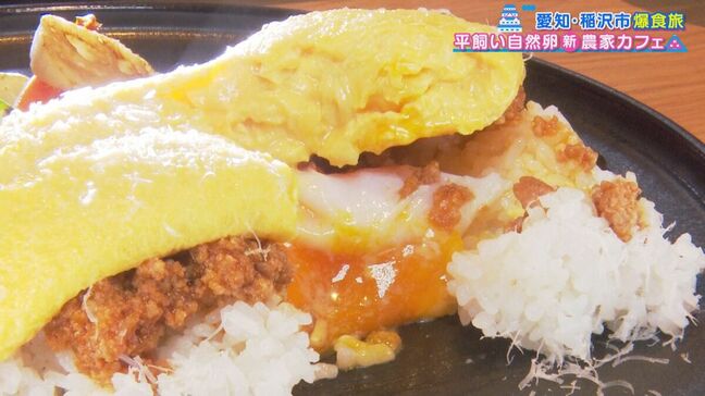 ミシュランガイド掲載店が監修！“自然卵”を使った絶品料理とは？人気の創作銀杏会席も！愛知・稲沢市のオススメスポットをご紹介|TBS NEWS DIG