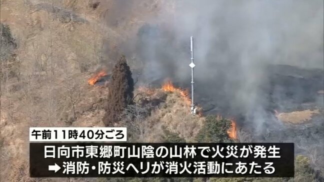 火災相次ぐ　日向市で廃棄物処分場と林野火災　えびの市の霧島演習場は350ヘクタール焼ける|TBS NEWS DIG