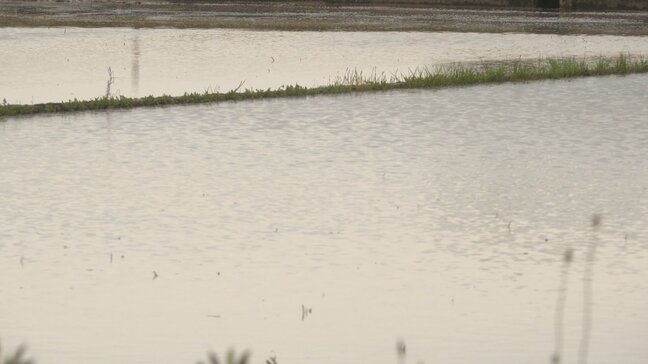 農作業中トラクターに巻き込まれたか 田んぼで見つかった男性の遺体 死因は「脳損傷」とみられる 富山・高岡市|TBS NEWS DIG