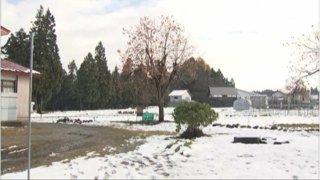 鼻や口元かまれ出血しながら家へ…　クマに突如木の上から襲われた女性が聞いた不思議な音…（山形）|TBS NEWS DIG