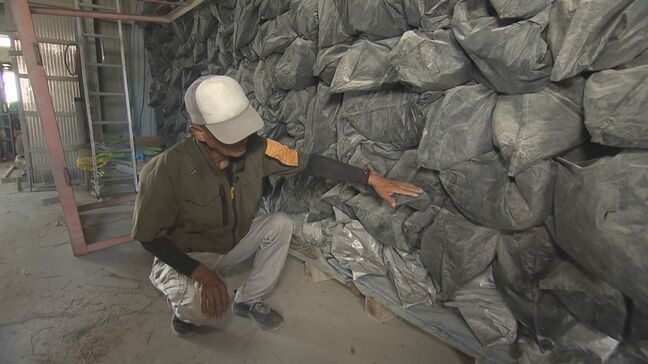 壊滅･･･畳の原料『イ草』国内の9割を担う生産地が水没　「畳表がかなり品薄になるのは間違いない」　熊本|TBS NEWS DIG