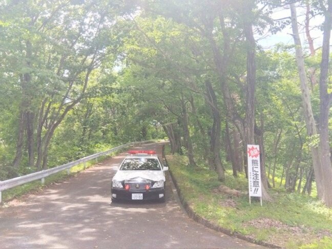 【クマ】米沢市で人的被害　散歩をしていた人がクマに襲われる（山形）|TBS NEWS DIG