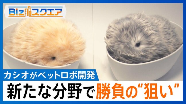 鳴いて動いて「人になつく」…カシオ「5万円台のAIペットロボ」開発の狙いとは？【Bizスクエア】 |TBS NEWS DIG