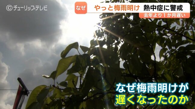 「梅雨って実感なかった」北陸地方がようやく梅雨明け 去年より1か月以上遅く 「気象台にも迷いが…」【富山】|TBS NEWS DIG