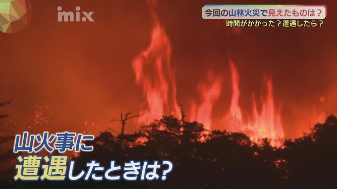 約40ヘクタールを焼き4日後に鎮火の山林火災…警察と消防が実況見分　遭遇したらどうすれば？消防に詳しく聞きました　|　山口のニュース・天気・防災｜tys NEWS｜ｔｙｓテレビ山口