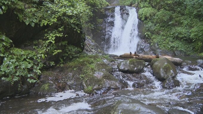 涼を求めて　「浄化のパワースポット」とも呼ばれる板敷渓谷の大滝|TBS NEWS DIG