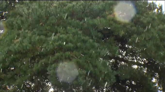 県西部を中心に雪　西寄りの風も強まる　ふぶきによる交通障害に注意　宮城（22日午前11時半現在）|TBS NEWS DIG