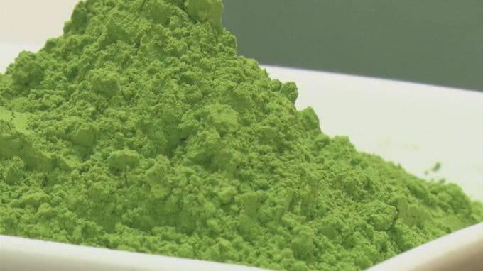 世界的抹茶ブーム＂抹茶騒動＂今年は…さらに広がる気配「今年の仕入れ値は、1.5倍ぐらいになるんじゃないかな」|TBS NEWS DIG