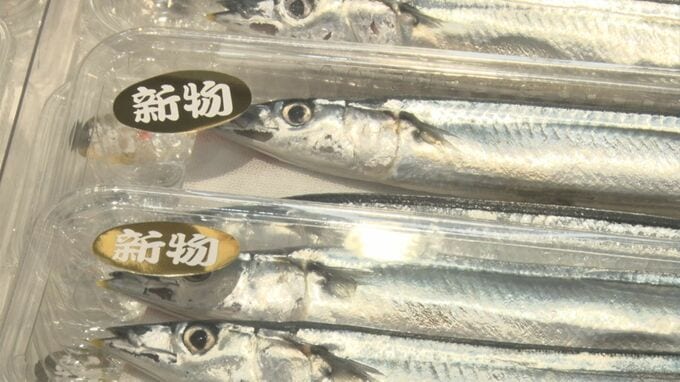 「庶民の魚じゃなくなった」去年の安値から一転、サンマ1尾約400円と高値に…なぜ？「ひとつは海洋環境の変化」|TBS NEWS DIG