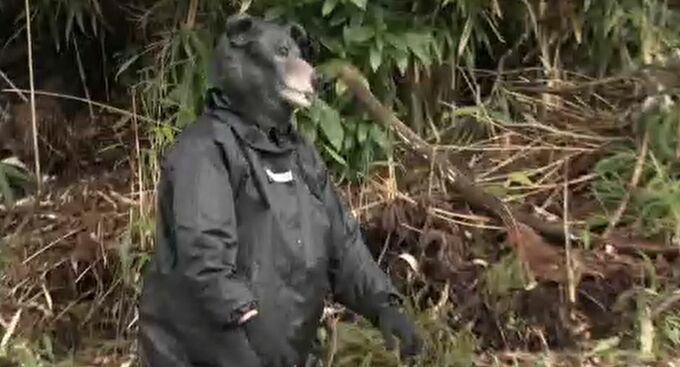冬眠明けのクマ出没に備えて捕獲訓練　石川・能美市　|　石川県のニュース｜MRO北陸放送