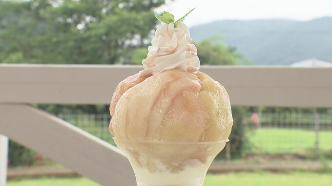 モモ1.5個使用！毎年人気の“あのパフェ”がまもなく登場！　福島市の森のガーデン|TBS NEWS DIG
