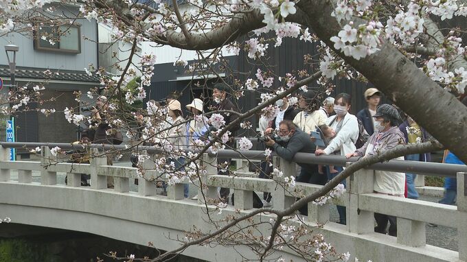 咲き始めのサクラの下で無病息災願う「ひな流し」　山口市　|　山口のニュース・天気・防災｜tys NEWS｜ｔｙｓテレビ山口