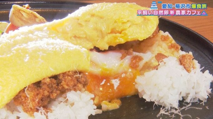 ミシュランガイド掲載店が監修！“自然卵”を使った絶品料理とは？人気の創作銀杏会席も！愛知・稲沢市のオススメスポットをご紹介　|　名古屋・愛知・岐阜・三重のニュース【CBC news】 | CBC web