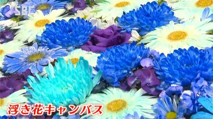 「浮き花キャンバス」「タペストリーガーデン」中央通りを花で彩る「善光寺花回廊」にぎわう　おやきやニラせんべいなど販売する「ながの100年フードフェス」も開催　|　SBC NEWS | 長野のニュース | SBC信越放送