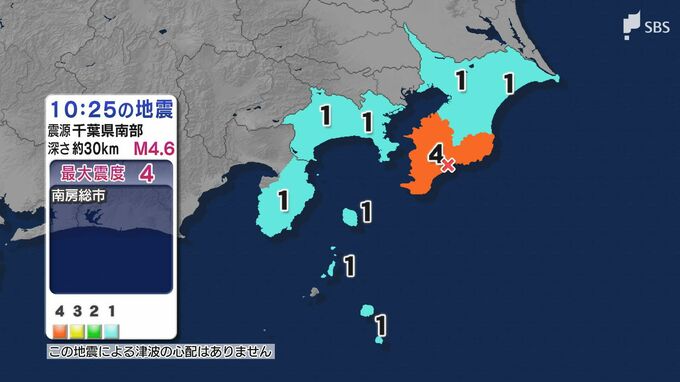 千葉で最大震度4　東京都、神奈川県、静岡県・伊豆市、東伊豆町でも震度1（1月29日午前10時25分頃）|TBS NEWS DIG