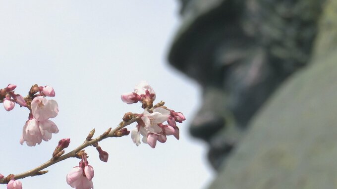 20日は大気の状態が不安定　夕方にかけて落雷・突風・急な雨に注意　山梨|TBS NEWS DIG